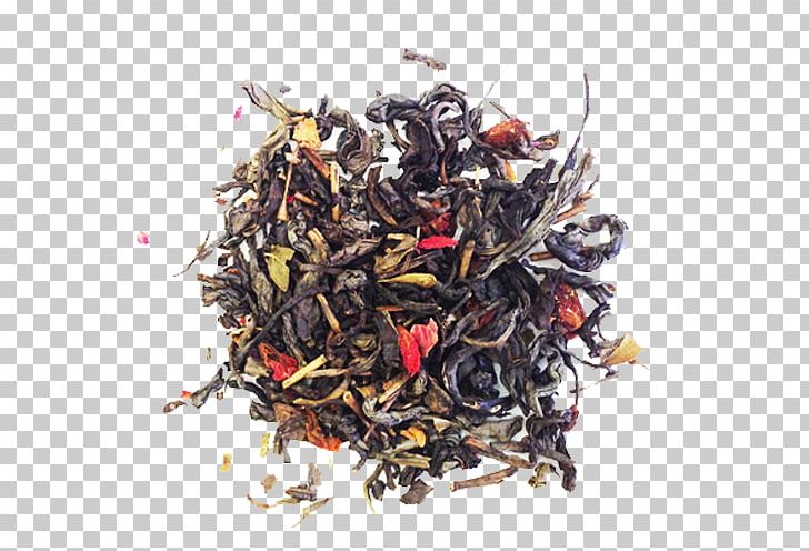 Green Tea Dianhong Nilgiri Tea Tea Plant PNG, Clipart, Assam Tea, Black Tea, Camellia, Ceylon Tea, Da Hong Pao Free PNG Download