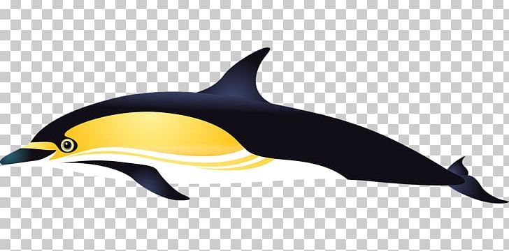 Short-beaked Common Dolphin Common Bottlenose Dolphin White-beaked Dolphin Tucuxi PNG, Clipart, Animal, Animals, Beak, Cetacea, Fauna Free PNG Download