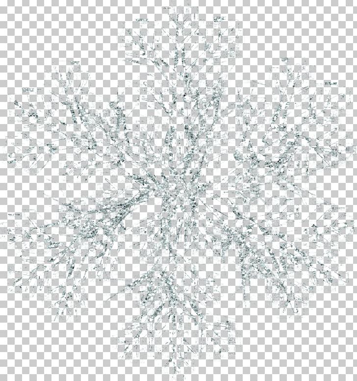 Snowflake Icon PNG, Clipart, Black And White, Black White, Cartoon, Flowers, Graphic Design Free PNG Download