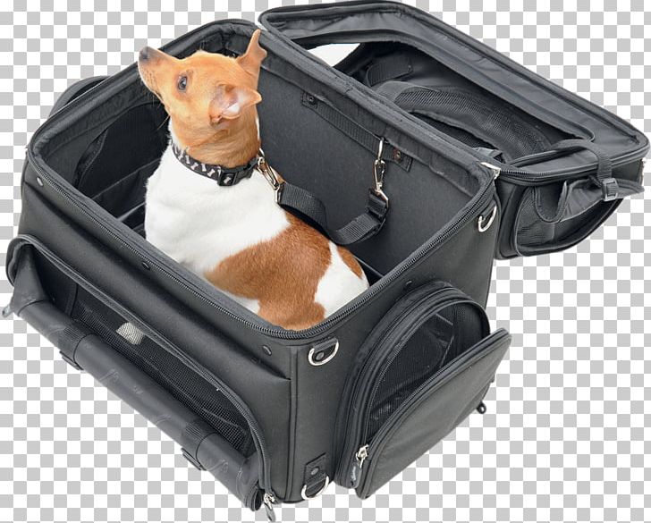 Dog Pet Carrier Kitten Puppy Scooter PNG, Clipart, Animals, Bag, Baggage, Bicycle, Box Free PNG Download