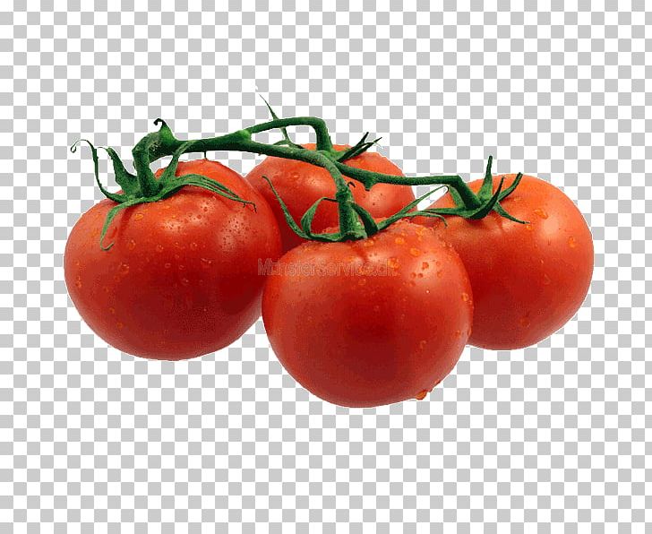 Tomato Soup Eating Fast Food Health PNG, Clipart, Bush Tomato, Cuisine, Eating, Fast Food, Food Free PNG Download