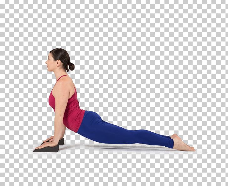 Ashtanga Vinyasa Yoga Vinyāsa Pilates Urdhvamukha Shvanasana PNG, Clipart, Abdomen, Arm, Asana, Exercise, Physical Exercise Free PNG Download