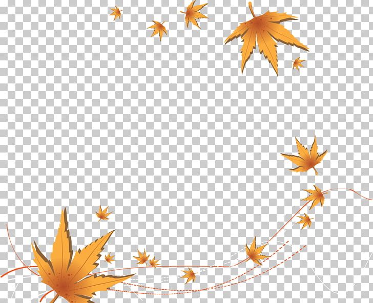 Autumn Leaf Euclidean PNG, Clipart, Autumn Leaf Color, Autumn Leaves, Botany, Curve, Decorative Free PNG Download
