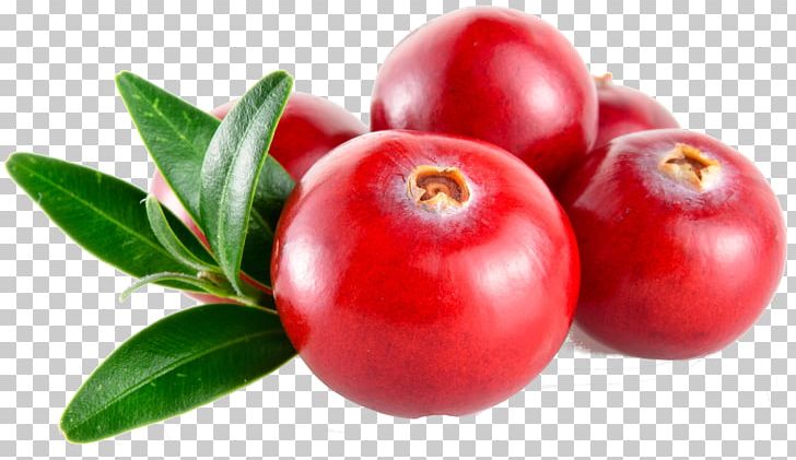Barbados Cherry Cranberry Juice Lingonberry Huckleberry PNG, Clipart, Acerola, Acerola Family, Apple, Berry, Bush Tomato Free PNG Download