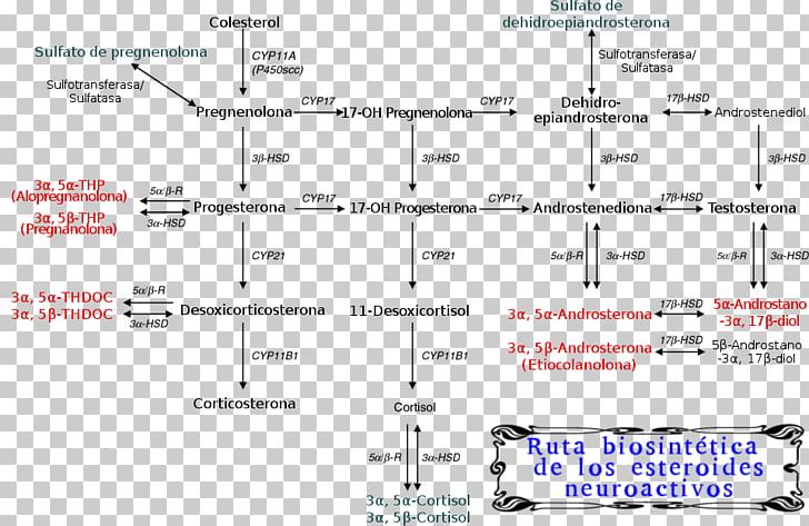 Enciclopedia Libre Universal En Español Encyclopedia Spanish Wikipedia Neurosteroid PNG, Clipart, Angle, Area, Diagram, Document, Encyclopedia Free PNG Download