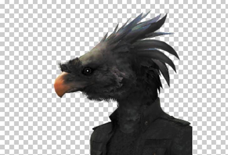 Final Fantasy XV Final Fantasy XIII Cloud Strife Video Game PNG, Clipart, Beak, Bird, Bird Of Prey, Book, Cloud Strife Free PNG Download