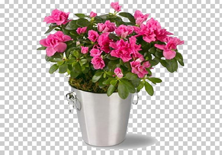 Floristry Flower Delivery Flower Bouquet Floral Design PNG, Clipart,  Free PNG Download