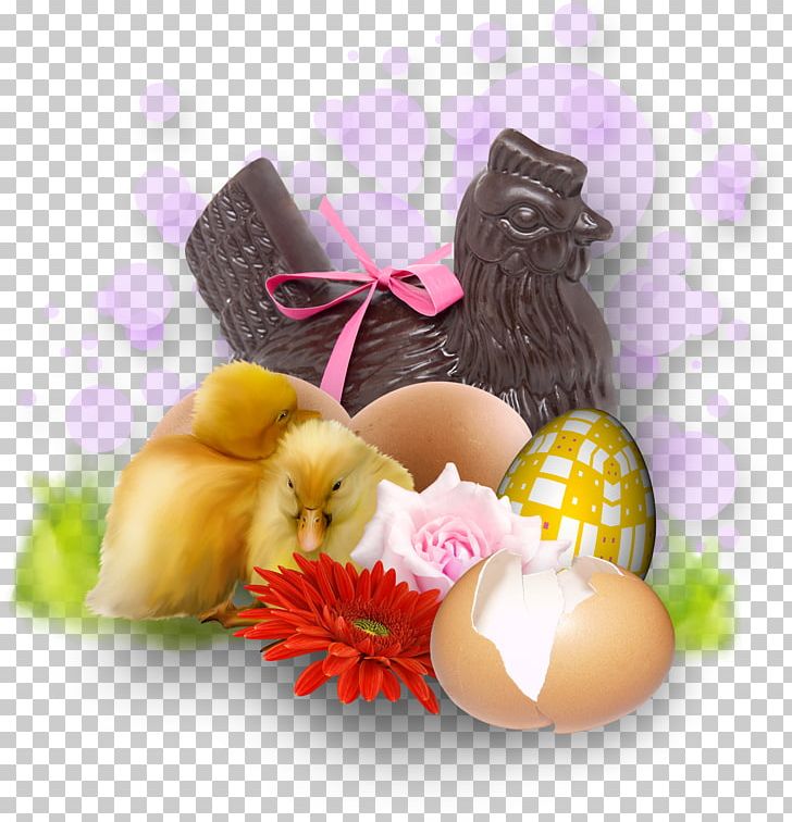 Easter Bunny Chicken Egg Drop Soup Eggshell PNG, Clipart, Animals, Black, Black Chicken, Broken, Broken Egg Free PNG Download
