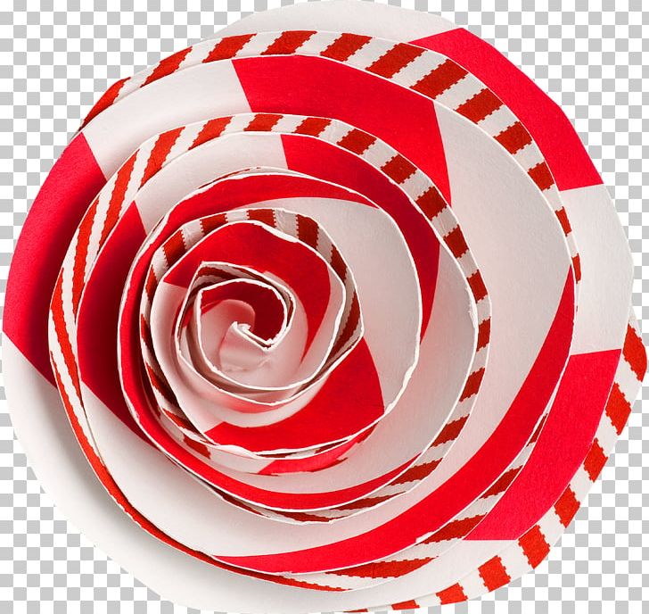 Garden Roses Rosaceae Circle PNG, Clipart, Circle, Family, Flowers, Garden, Garden Roses Free PNG Download