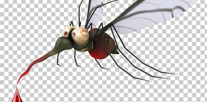 Mosquito-borne Disease Zika Virus Zika Fever PNG, Clipart, Arthropod, Category, Dengue, Dimension, Disease Free PNG Download