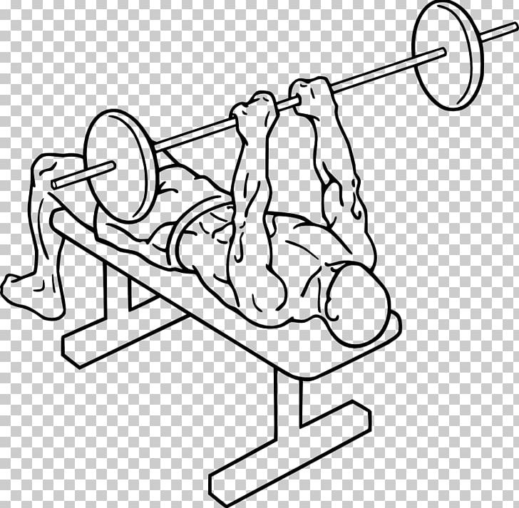 Bench Press Lying Triceps Extensions Triceps Brachii Muscle Exercise PNG, Clipart, Angle, Area, Arm, Art, Auto Part Free PNG Download
