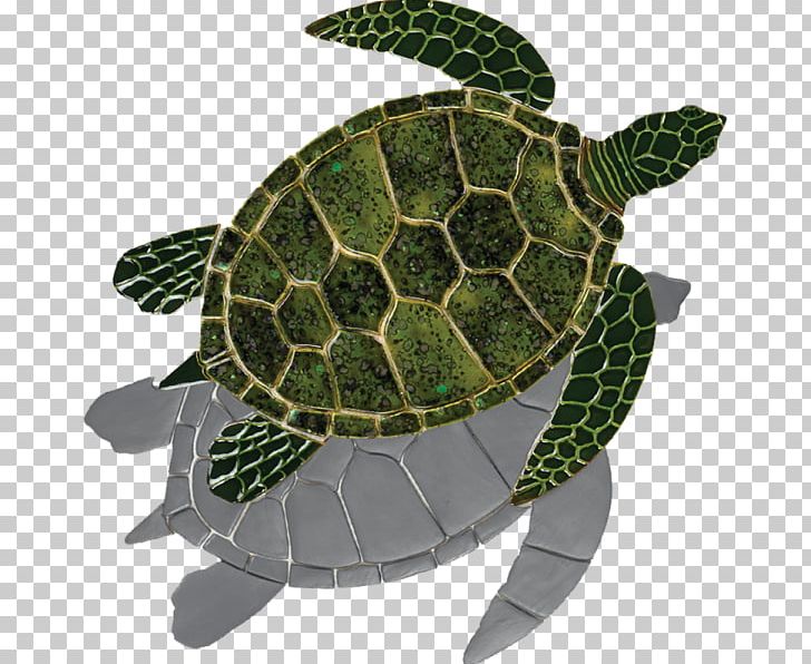Loggerhead Sea Turtle Tortoise Green Sea Turtle PNG, Clipart, Art, Caretta, Ceramic, Craft, Emydidae Free PNG Download