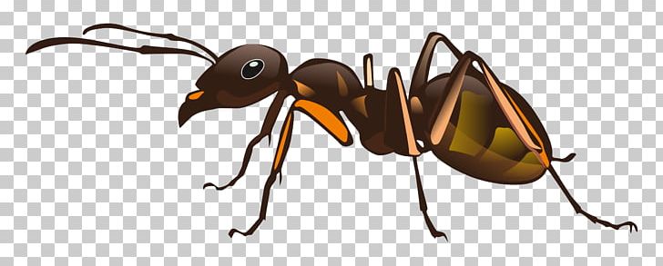 Black Carpenter Ant Bee Insect Pest Control PNG, Clipart, Ant, Ants, Argentine Ant, Arthropod, Bee Free PNG Download