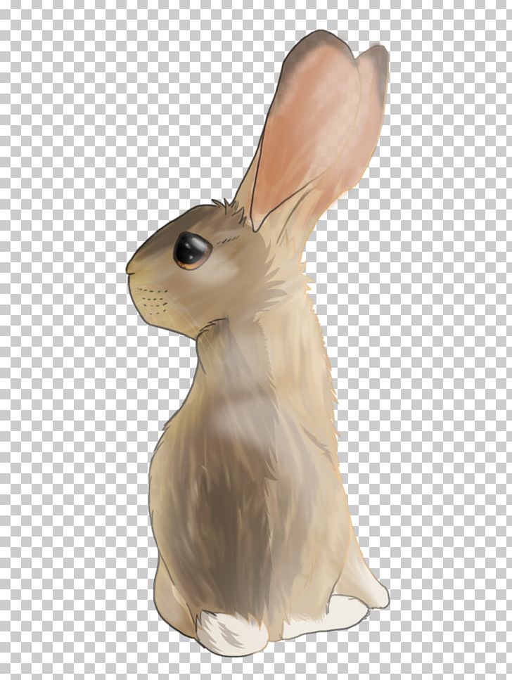 Domestic Rabbit Hare PNG, Clipart, Animals, Domestic Rabbit, Hare, Hares Ear, Mammal Free PNG Download