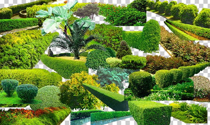 Landscape Greening Garden Vegetation PNG, Clipart, Botanical Garden, Collection, Garden, Grass, Green Free PNG Download