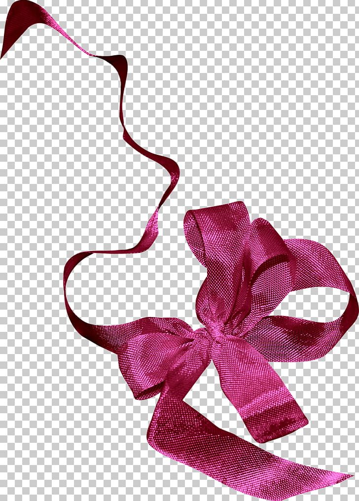 Portable Network Graphics Photography Ribbon PNG, Clipart, Art, Clothing Accessories, Cut Flowers, Digital Image, Download Free PNG Download