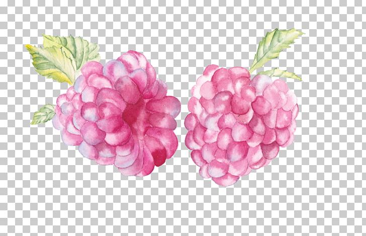 Raspberry Watercolor Painting Watercolour Flowers Watercolor Landscape Illustration PNG, Clipart, Background, Berry, Drawing, Flower, Food Free PNG Download