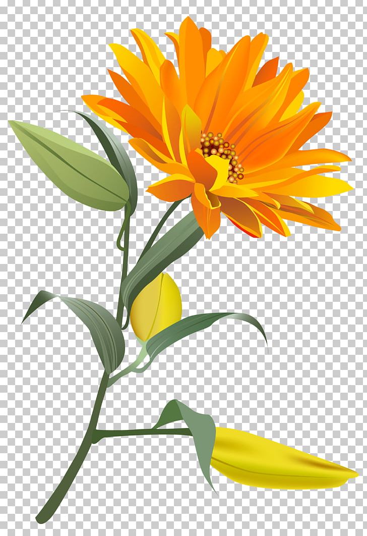 Bible New Year's Day Telugu Greeting PNG, Clipart, Calendula, Cut Flowers, Daisy, Daisy Family, Floristry Free PNG Download