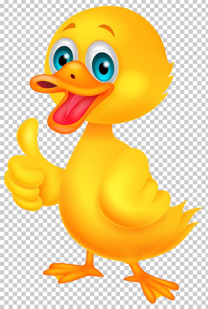 Donald Duck Cartoon PNG, Clipart, American Pekin, Beak, Bird, Cartoon, Cartoons Free PNG Download