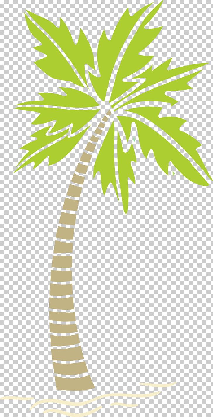 Arecaceae Areca Palm Tree PNG, Clipart, Areca, Arecales, Areca Vector, Betel Nut, Botany Free PNG Download
