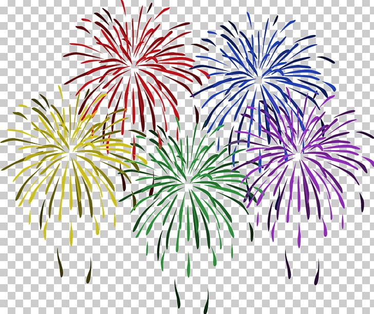 Fireworks New Year's Day PNG, Clipart,  Free PNG Download