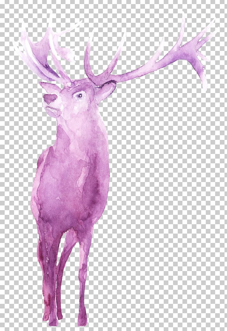 Reindeer Antler Character Fiction PNG, Clipart, Antler, Art, Cartoon, Character, Deer Free PNG Download