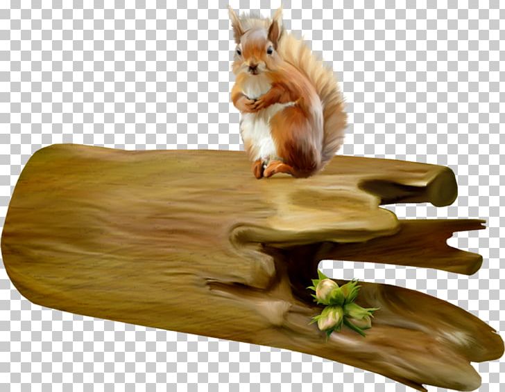 Wood Squirrel PNG, Clipart, 3d Computer Graphics, Animaatio, Computer Graphics, Download, Drawing Free PNG Download