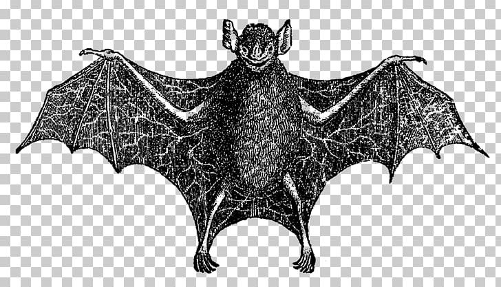 Bat Digital PNG, Clipart, Animals, Art, Bat, Black And White, Cattle Like Mammal Free PNG Download