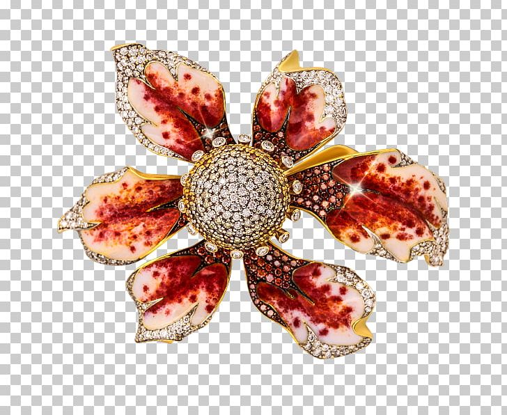 Brooch Flower PNG, Clipart, Brooch, Fashion Accessory, Flower, Jewellery, Nature Free PNG Download