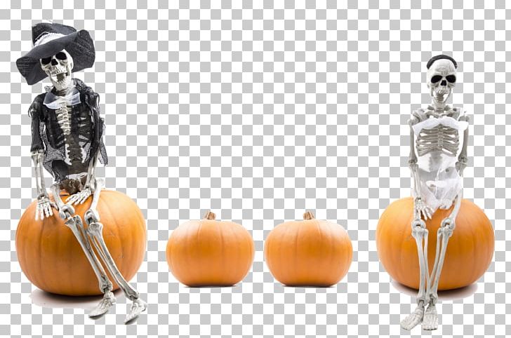 Pumpkins PNG, Clipart, Android, Bone, Bones, Creative, Creative Free PNG Download