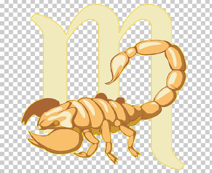 Scorpio Horoscope Astrology Zodiac Aries PNG, Clipart, Aries, Astrological Sign, Astrology, Carnivoran, Cartoon Free PNG Download