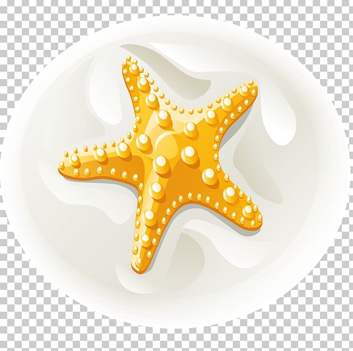 Starfish Euclidean PNG, Clipart, Animals, Bay, Beach, Beautiful Starfish, Cartoon Starfish Free PNG Download