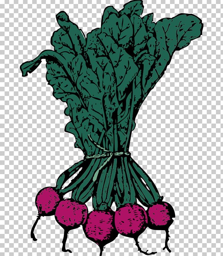Sugar Beet Beetroot PNG, Clipart, Art, Beetroot, Common Beet, Fictional Character, Flower Free PNG Download