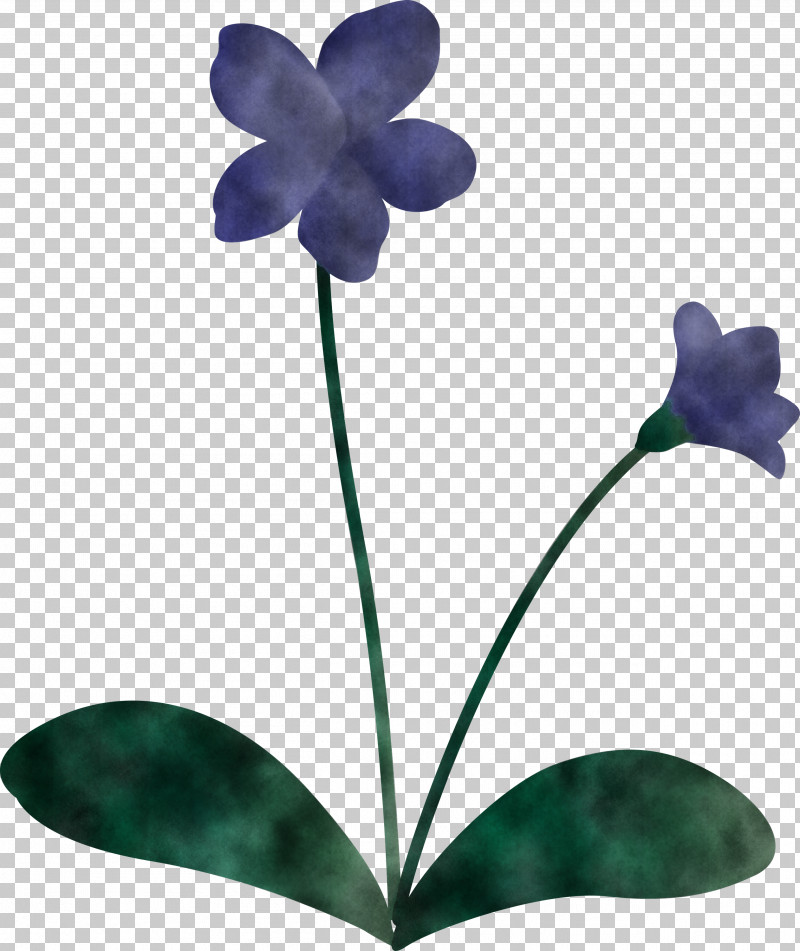 Violet Flower PNG, Clipart, Annual Plant, Flower, Flowerpot, Herbaceous Plant, Leaf Free PNG Download