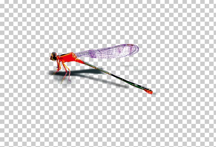 Insect Dragonfly PNG, Clipart, Adobe Illustrator, Download, Encapsulated Postscript, Flower, Flower Pattern Free PNG Download