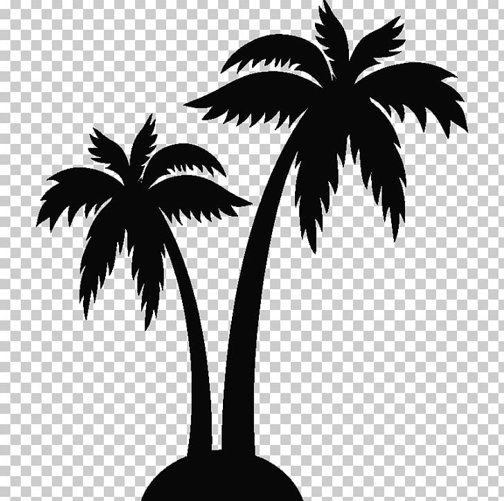 Palm Trees Sticker Wall Decal Chez Brahim PNG, Clipart, Arecales, Asian Palmyra Palm, Black And White, Branch, Brand Free PNG Download
