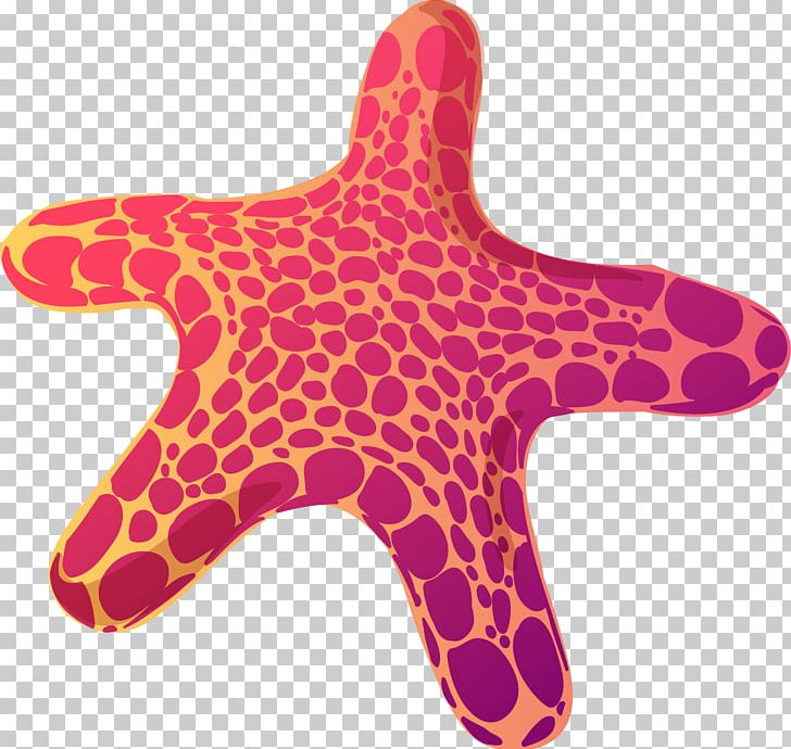 Starfish PNG, Clipart, Air, Arc, Breath, Dot, Echinoderm Free PNG Download