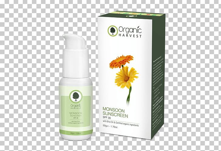Sunscreen Lotion Anti-aging Cream Factor De Protección Solar PNG, Clipart,  Free PNG Download