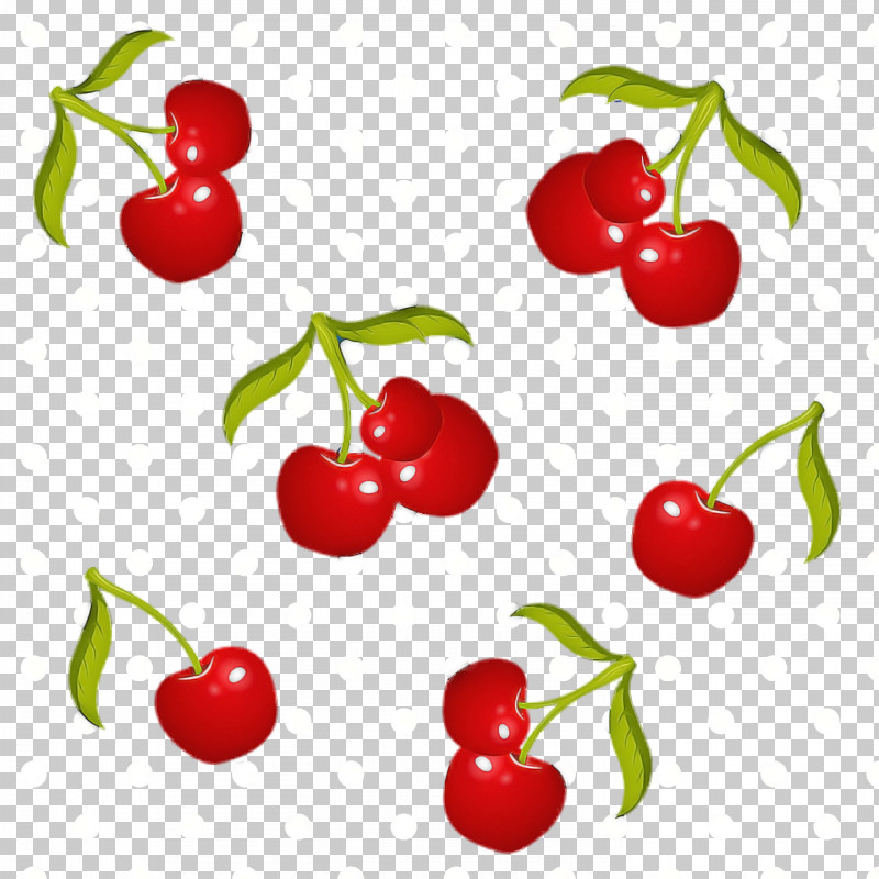 Natural Foods Superfood Plants Barbados Cherry Lingonberry PNG, Clipart, Barbados Cherry, Biology, Lingonberry, Local Food, Natural Foods Free PNG Download