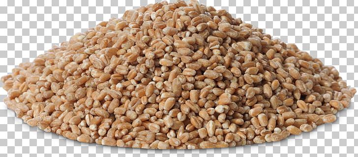 Cereal Germ Whole Grain Embryo Grasses PNG, Clipart, Cereal, Cereal Germ, Commodity, Embryo, Family Free PNG Download