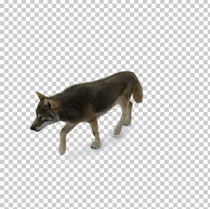 Dog Breed Coyote PNG, Clipart, 3d Computer Graphics, Angry Wolf Face, Animal, Animals, Black Wolf Free PNG Download