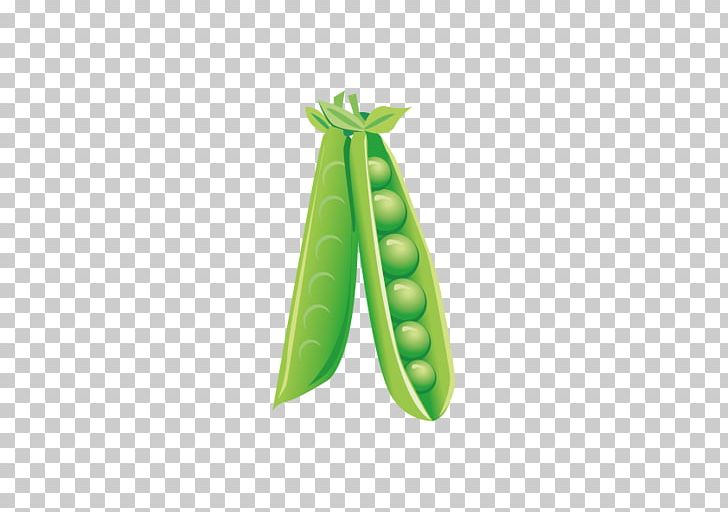 Pea Ervilha Petit Pois Illustration PNG, Clipart, Angle, Butterfly Pea, Cartoon, Download, Encapsulated Postscript Free PNG Download