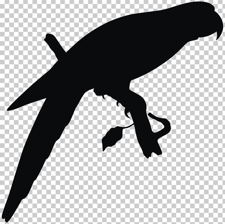 Silhouette Bird Drawing PNG, Clipart, Animals, Beak, Bird, Black And White, Cockatoo Free PNG Download