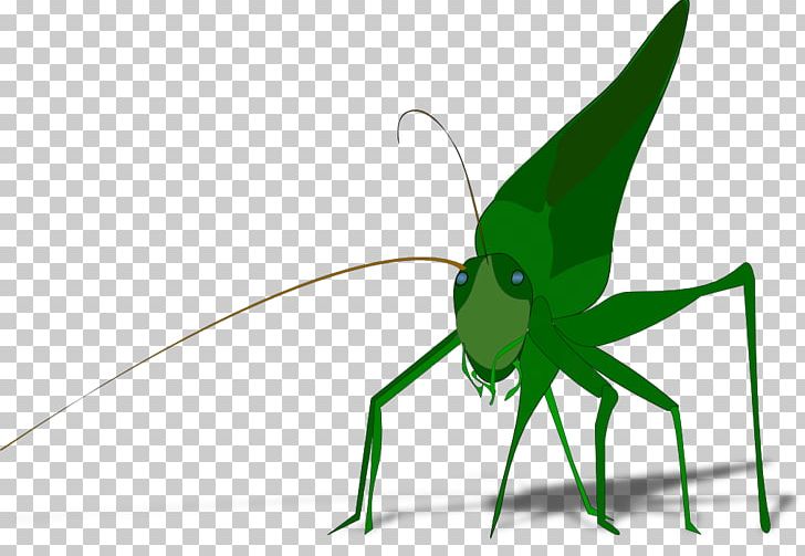 The Ant And The Grasshopper PNG, Clipart, Ant And The Grasshopper, Arthropod, Cricket Like Insect, Download, Drawing Free PNG Download