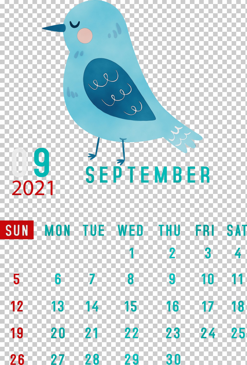 Htc Hero Birds Beak Meter Teal PNG, Clipart, Beak, Birds, Htc Hero, Meter, Paint Free PNG Download