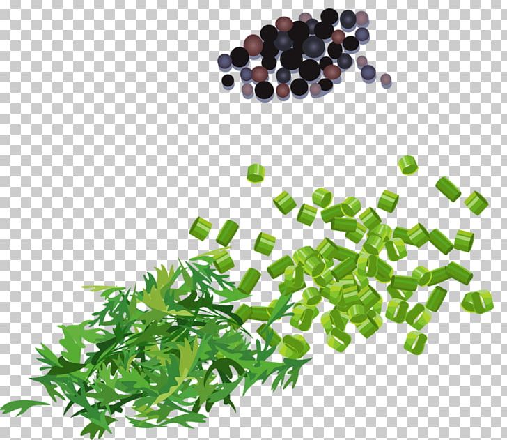 Allium Fistulosum Parsley Scallion Onion PNG, Clipart, Allium Fistulosum, Background Green, Chopped, Chopped Green Onion, Condiment Free PNG Download