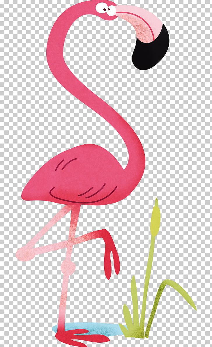 Flash Cards Birds For Kids. Flamingo Beak PNG, Clipart, American Flamingo, Animals, Beak, Bird, Decal Free PNG Download