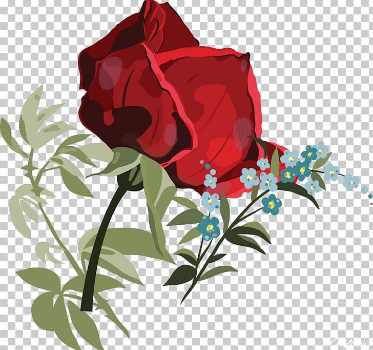 Garden Roses Flower Centifolia Roses PNG, Clipart, Centifolia Roses, Cut Flowers, Flora, Floral Design, Floristry Free PNG Download