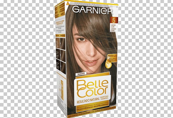 Hair Coloring Garnier Hair Permanents & Straighteners Chestnut PNG, Clipart, Beauty, Black Hair, Blond, Brown, Brown Hair Free PNG Download