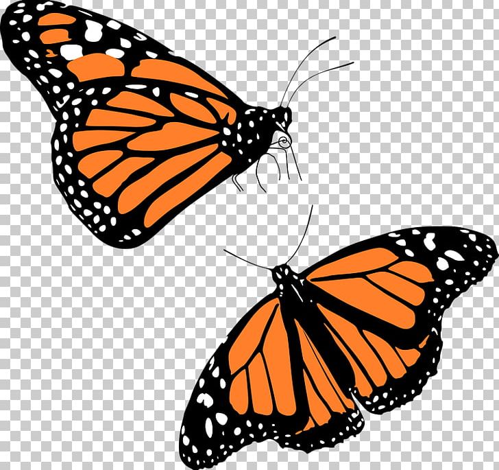 Monarch Butterfly Migration PNG, Clipart, Animal Migration, Arthropod, Brush Footed Butterfly, Butterfly, Caterpillar Free PNG Download